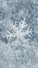 Ice Snowflake iPhone 7 Plus Wallpaper