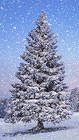 Winter Tree iPhone 6S Plus Wallpaper