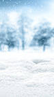 Winter iPhone 7 Plus Wallpaper