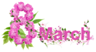 Floral March 8 PNG Clipart