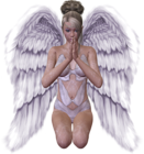 3D Angel