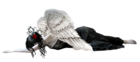 Fallen Angel Free PNG Clipart Picture