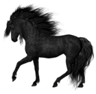 Black Horse PNG Clipart Picture