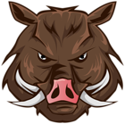 Boar Head PNG Clipart Image