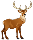 Brown Reindeer PNG Clipart Picture