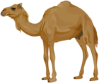 Camel PNG Clip Art Image