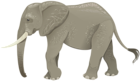 Elephant Transparent PNG Clip Art Image