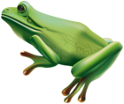 Frog PNG Transparent Clip Art Image