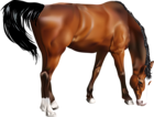 Horse PNG Clip Art Image