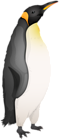 King Penguin PNG Clipart