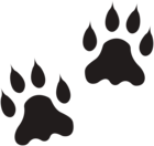 Lion Paws Clip Art Image