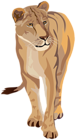 Lioness Clipart Image