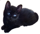 Little Black Cat Clipart