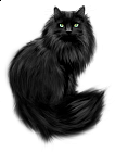 Painted Black Cat Clipart