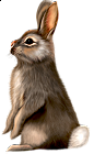 Painted Brown Bunny Clipart