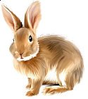 Painted Bunny Clipart.png