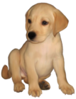 Painted Small Yellow Labrador Retriever PNG Picture