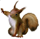 Painted Squirrel Clipart