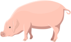 Pig Transparent Clip Art Image