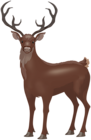 Red Deer Stag PNG Clip Art Image