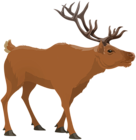 Stag PNG Clipart