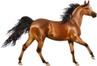 Transparent Brown Horse PNG Clipart