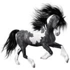 White Black Horse PNG Clipart Picture