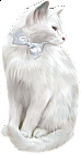 White Cat Clipart