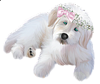 White Puppy with Pink Ribbon Clipart