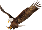 American Eagle PNG Clip Art Image