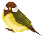 Bird PNG Clipart Image