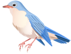 Bird Transparent PNG Image