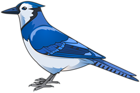 Blue Bird Transparent PNG Clip Art Image