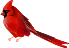 Cardinal Bird PNG Clip Art