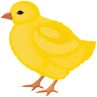 Chicken Transparent Image