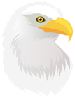 Eagle Head Transparent PNG Clip Art Image