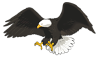 Eagle PNG PNG Clip Art Image