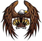 Eagle Transparent PNG Clip Art Image