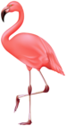 Flamingo Bird PNG Clipart