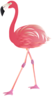 Flamingo PNG Clip Art Image