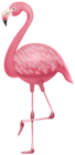 Flamingo PNG Clipart