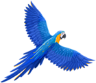 Flying Blue Parrot PNG Clipart