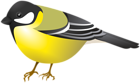 Great Tit Bird PNG Clipart