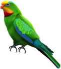 Green Parrot Transparent Clip Art Image