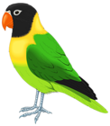 Green and Yellow Bird PNG Clipart Image