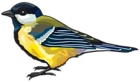 Large Bird PNG Clipart Image