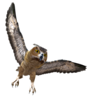 Owl in Flight PNG Clipart