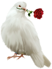 Painted Dove with Red Rose Free Clipart