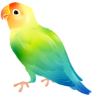 Parrot Bird PNG Clip Art Image