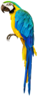 Parrot Transparent Clip Art Image